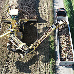 Rübenverladung (Bild: AGRANA Research & Innovation Center GmbH)